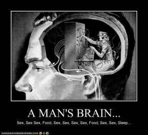 a-mans-brain