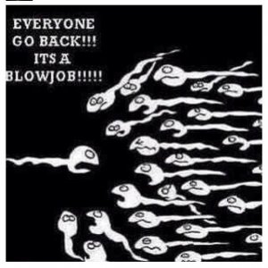 1c6b52658612d1cbf9ecf7a3ddb497bc