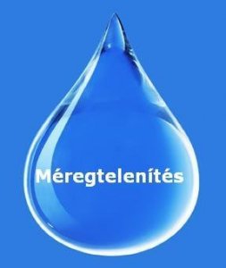 meregtelenites.31840.287x339